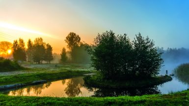 Spreewald